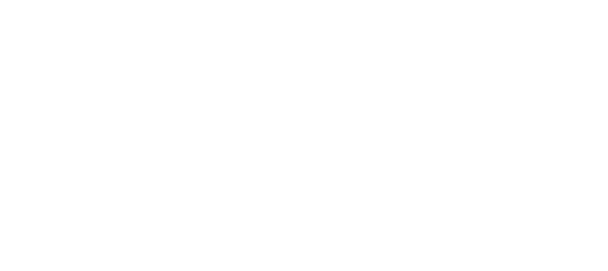 PAVICAN-LOGO