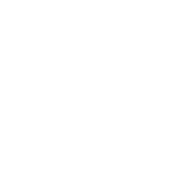 anclivepa-logo