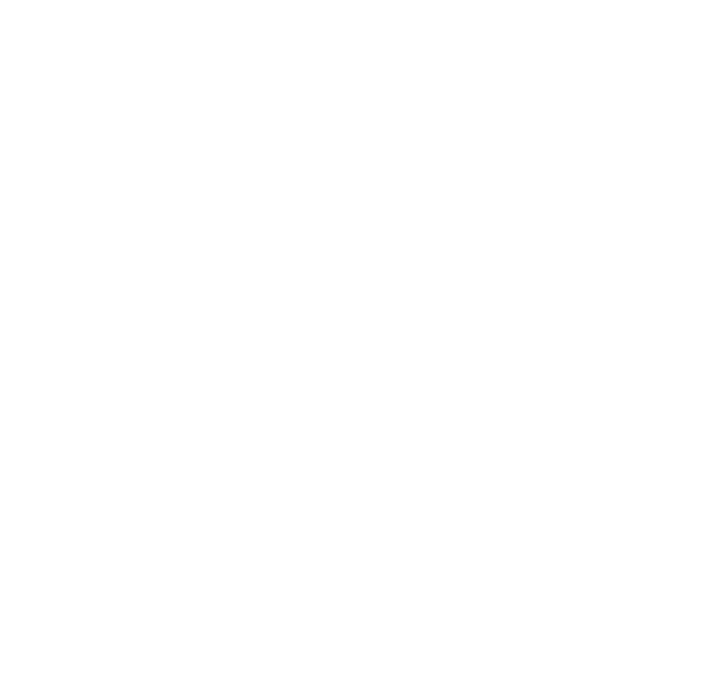 ladydriver-logo