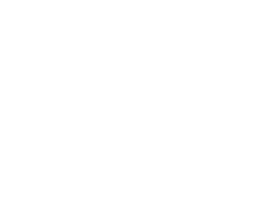 plaenge-logo