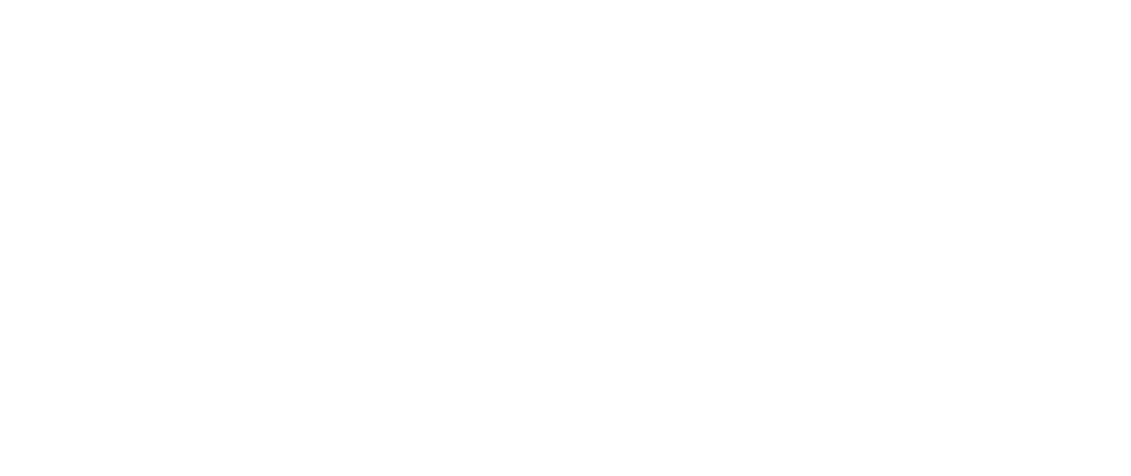serasa-logo